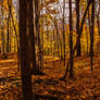 Late October