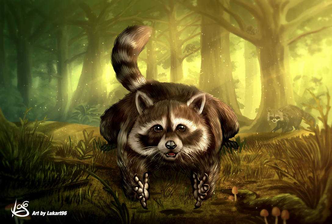 Racoon artwork by Lukart96 by Lukart96 on DeviantArt