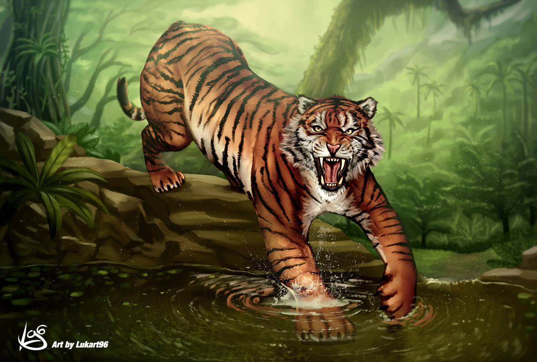 Tiger artwork by Lukart96 by Lukart96 on DeviantArt