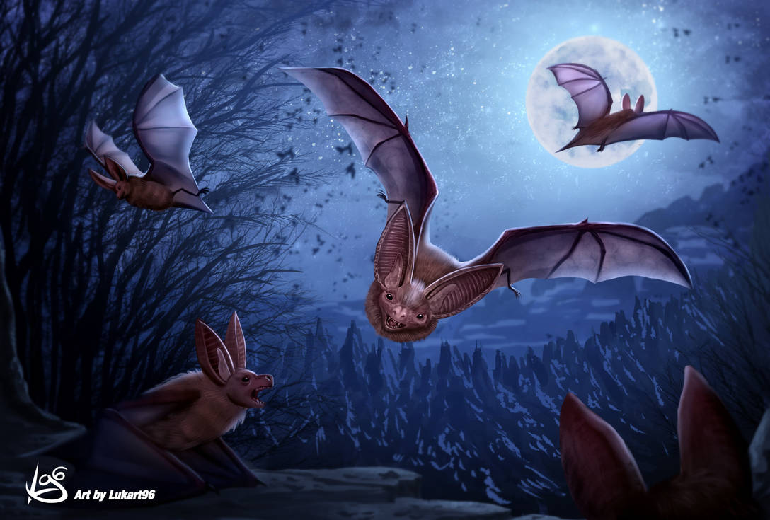 Colorful Bats Deviantart Bats artwork by Lukart96 by Lukart96 on DeviantArt