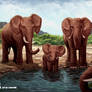 Elephant artwork by Lukart96