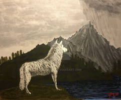Mountain wolf