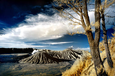 mount Bromo