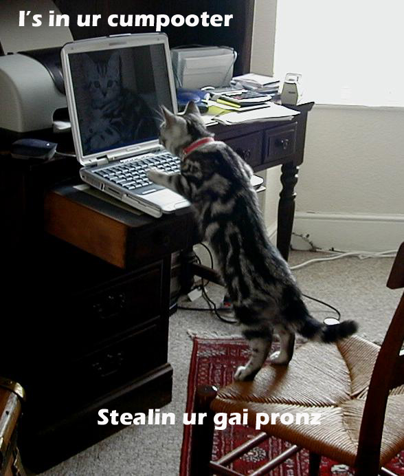 LOLCat Gai Pronz