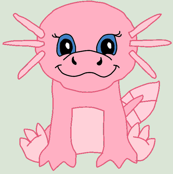 Axolotl webkinz sales