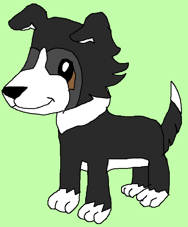 Webkinz signature discount collie