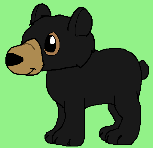 Webkinz signature discount black bear