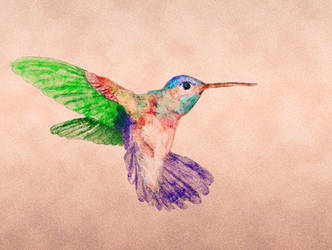 Hummingbird