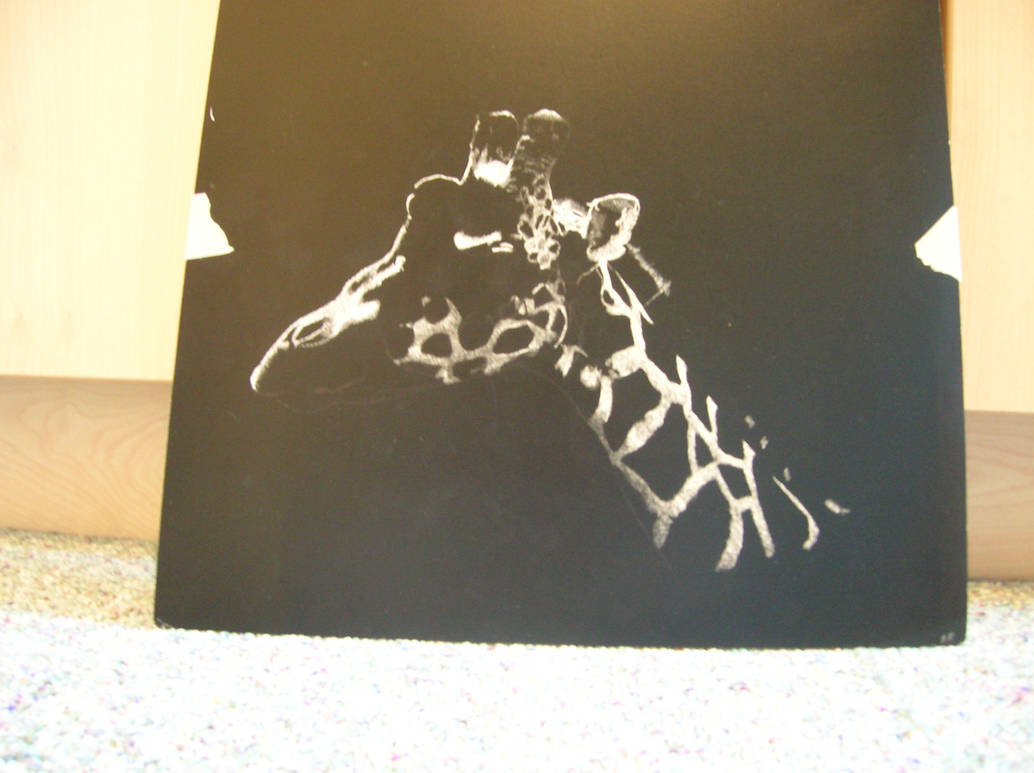 Scratchboard Giraffe by Ellyznavida on DeviantArt
