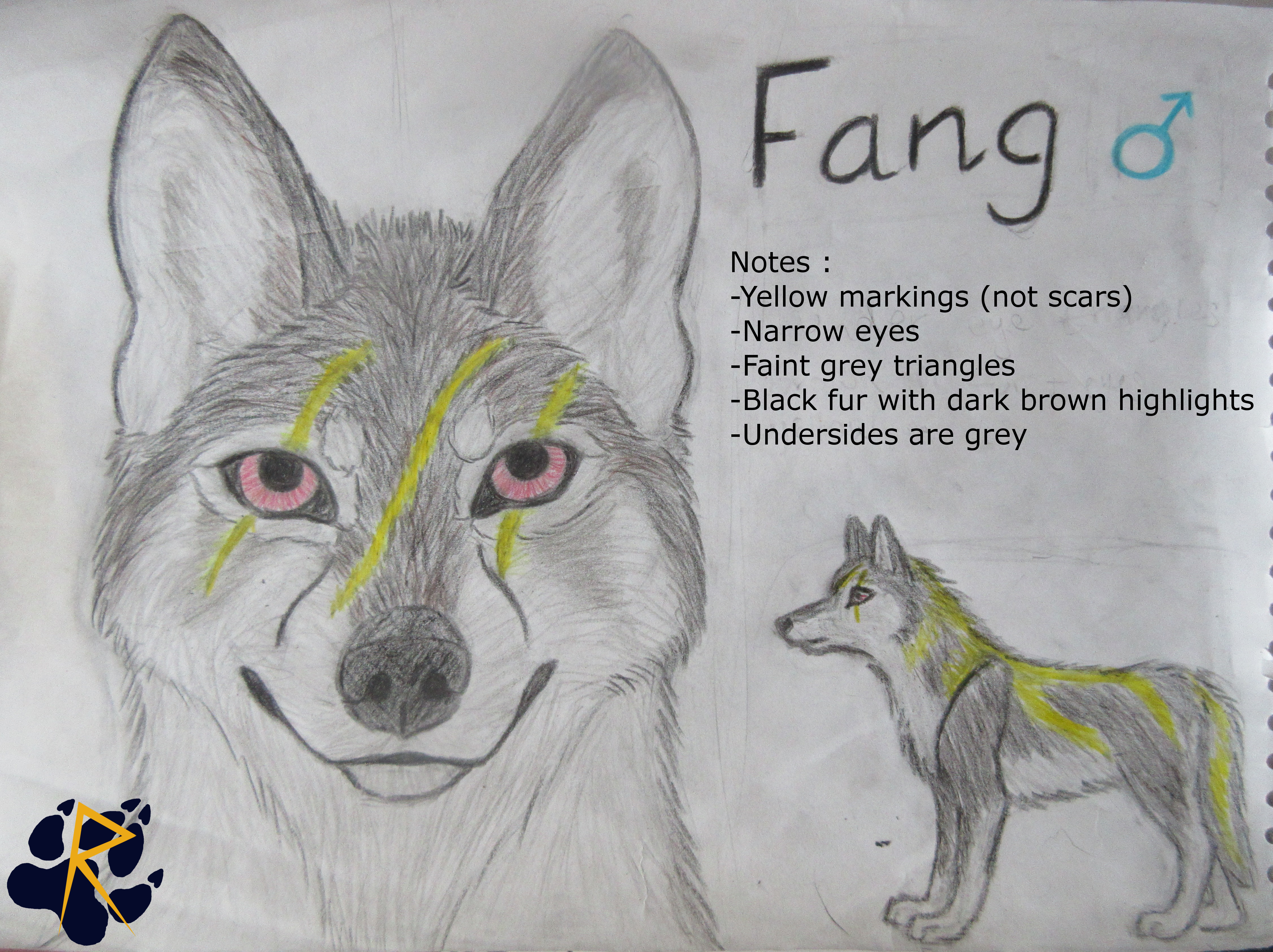 Fang