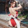 Mai Shiranui zen garden
