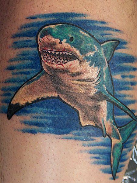 shark