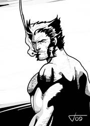 Wolverine