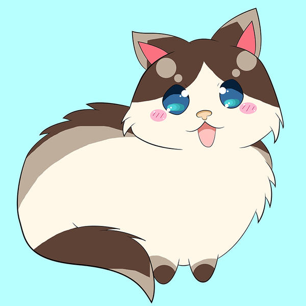 Ragdoll Cat is Love!