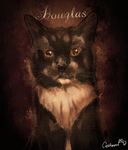 Halloween Style Portrait for Our Tuxedo Cat Friend