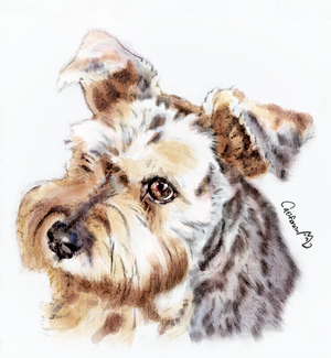 Watercolor Puppy Portrait for Our Schnauzer friend