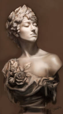 Bust Study