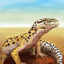 leopard gecko