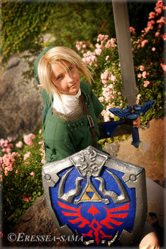 Link Cosplay - DoKomi 2011