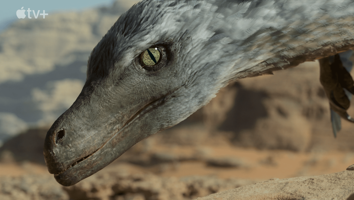 Sensitive Raptor Here's Why Slit eyes could be Accurate for Raptor by ...