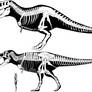 T Rex and V Rex Size Comparison