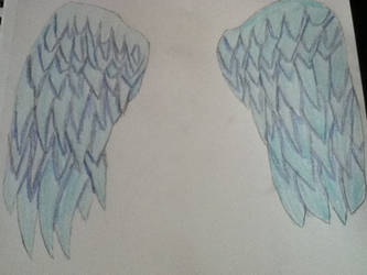 angel wings