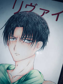 Levi