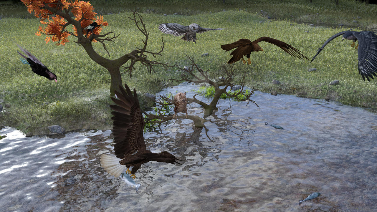 Birds Deviantart Birds Collection by BlendedImagery on DeviantArt