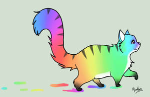 Rainbow Cat