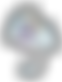 #624 Blessed T-tox w/m - Winter Dragon