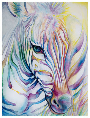 Rainbow Zebra by ladymeow