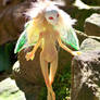 Green Wings