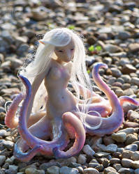 Octomermaid