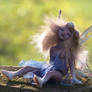 little wildwoman pixie