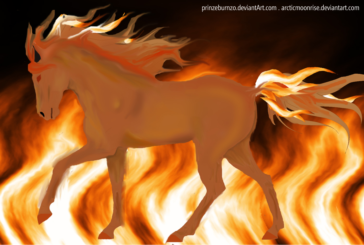 Engulfed By Flames :: Fire Horse