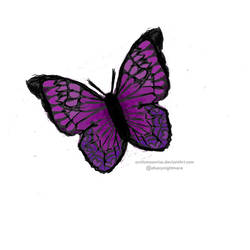 Purple butterfly only