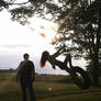 Tire-Swing Sunset 3