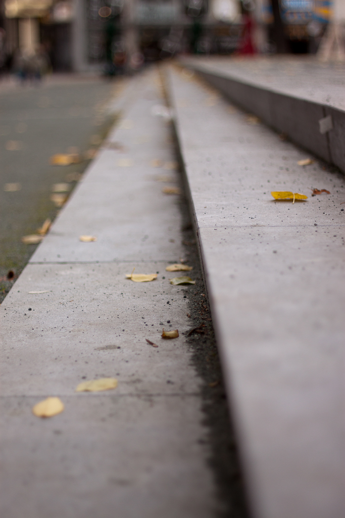 Autumn Street Stairs