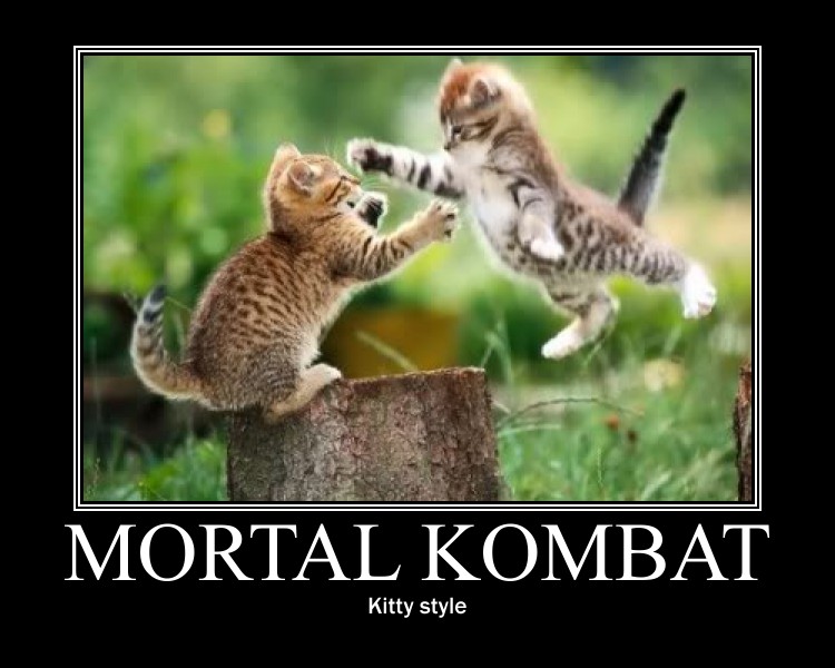 Mortal Kombat