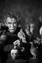 The man who talks to pigeons