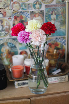 carnations