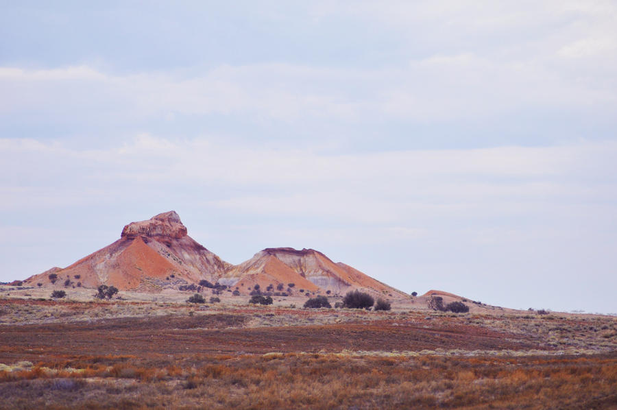 Painted Desert