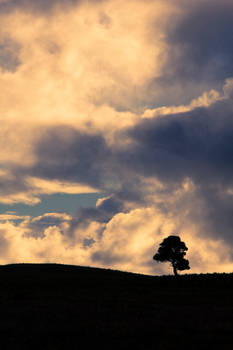 Menacing Hillside