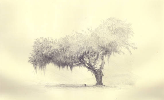 Tree sketch 1