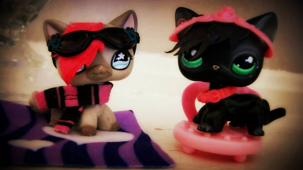 LPS Customs?