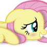 Angel does not approve [Fluttershy only]