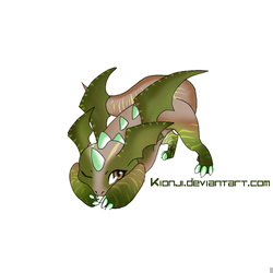 Draeda Dragon Baby, Hato, for Nahemii-chan