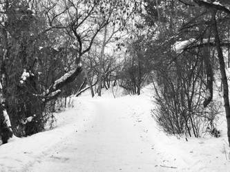 Pathways BW