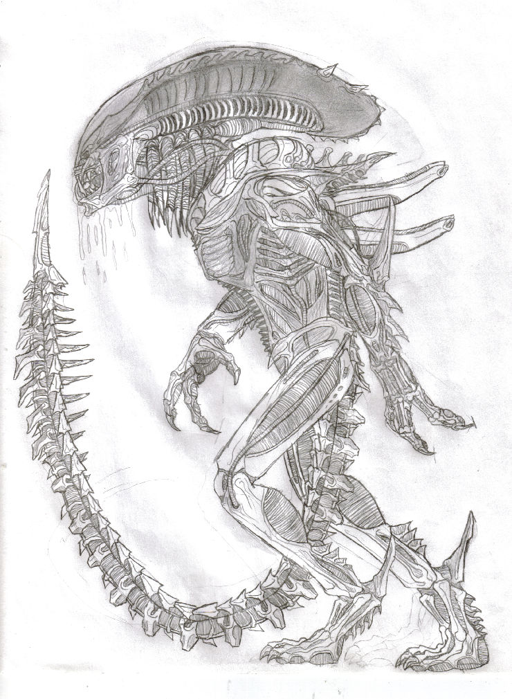 Predalien Of War by TITANOSAUR on DeviantArt
