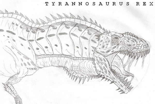 TYRANNOSAURUS REX